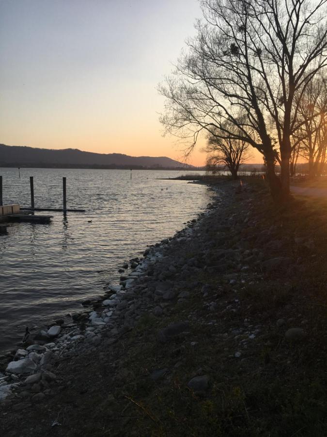 Ferienwohnung Im Zentrum Radolfzell am Bodensee Eksteriør billede